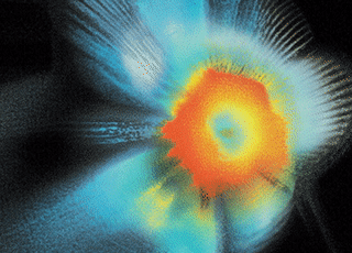 Process Intelligence